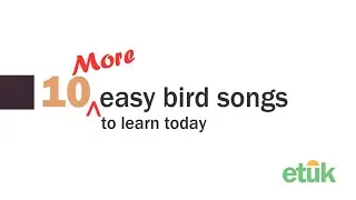 10 More Easy Bird Songs to learn