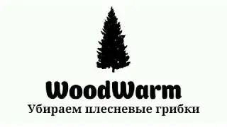 Очищаем стену от плесени - WW Nature Cleaner в действии
