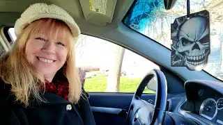 Michelle The Introvert Taxi Service