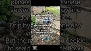 Emergency Sprinkler Repair Allen TX | Same-Day Lawn Sprinkler Contractor