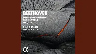 Cello Sonata No. 1 in F Major, Op. 5 No. 1: II. Allegro