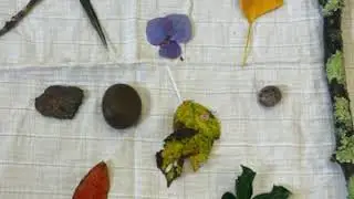 Nature Scavenger Hunt