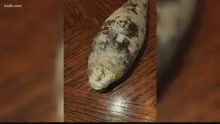 Jefferson County family finds WWII-era Japanese bomb in yard