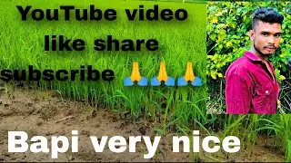 dhan khet vlog #video #youtube #like #india #online #block #facebook #share #humanity
