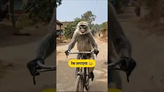 🐒बंदर भी रेस लगाएगा 😂🤣 #thetharpuns #comedybazar #funny #monkey #animals