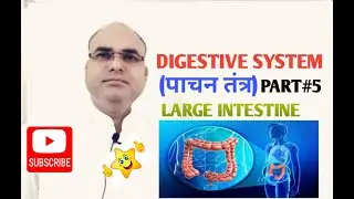 DIGESTIVE SYSTEM|| PART#5|| LARGE INTESTINE (COLON) || STRUCTURE AND FUNCTION|| HUMAN PHYSIOLOGY