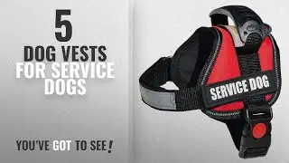 Top 5 Dog Vests For Service Dogs [2018 Best Sellers]: ALBCORP Reflective Service Dog Vest/Harness,