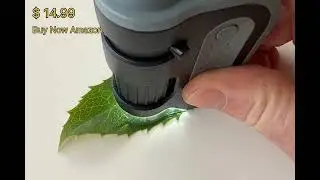 Carson MicroBrite Plus 60x-120x LED Lighted Pocket Microscope (MM-300)