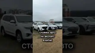 Стоянка машин на экспорт из Китая🇨🇳 #авто #экспорт #стоянка #автоизкитая #auto #автовоз