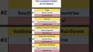 🌳 Top 5 Largest Forests in the World | Biggest Green Lungs of Earth I#youtubeshorts #shorts