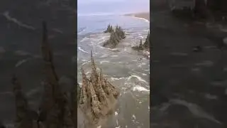 Atlantic Sagar beach #short