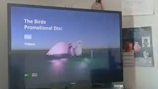 Opening to Marco Network's Birds 2024 Homemade Blu-Ray