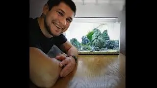 57. Start akwarium w stylu Ragwork | Część 3 | 45L | Start [HighTech]