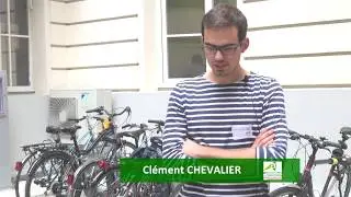 Agroforesteries : Gestion des adventices en grandes cultures