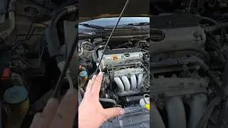 Кручу, не заводится!?!? Сначала проверьте это! #honda #cars #mechanic #tech #honda #automotive #d...