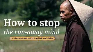Stop the Run-Away Mind | Teaching by Thich Nhat Hanh (EN subtitles)