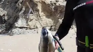Plage THIKKIT : parc national ALHOCEIMA : MAROC