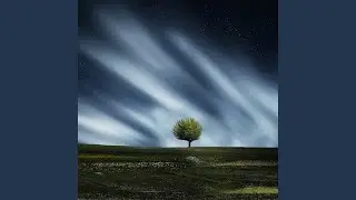 Soothing Harmony
