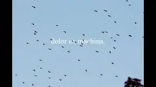 dolor ex machina. | Short film idea by Adrien ACCARD