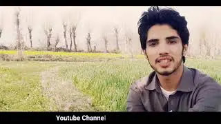 Zama pa  jwand ki che bahar raze || pashto new poetry Adil Arman By da wisal mazigar