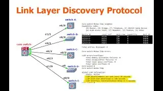 What is Link Layer Discovery Protocol (LLDP)? | How does LLDP work?  | How to configure LLDP?