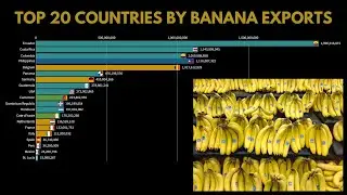 Top 20 Countries By Banana Exports
