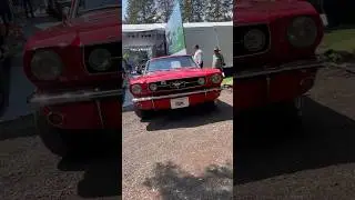 Ford Mustang 1965..!