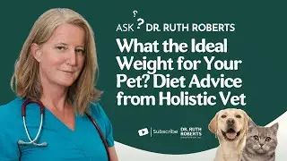 What the Ideal Weight for Your Pet? Diet Advice from Holistic Vet | Ask Dr. Ruth Roberts