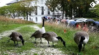 🌹✨ Inauguration du Parc départemental de La Roseraie à Châtenay-Malabry 🌳🌸