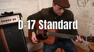 Martin Guitar D-17 Standard - First Look  👀 Spoon Phillips #martinsandmore