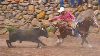 13 TOROS BRAVOS BUSCA CABALLOS!! JARIPEO DEL EJIDO DE  TENDEPARACUA 24 ENERO 2026 DON ANGEL PATIÑO