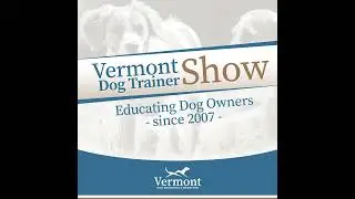 Training Deaf Dogs - Talking Dogs Radio Show