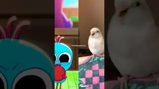 opila bird flower challenge |bird wiggle dance |