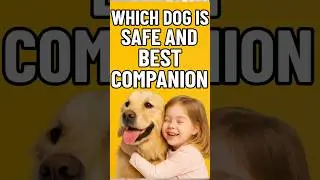 Top 5 Safe & Friendly Dogs for Kids! #pets #animals #dog #petlife #shorts