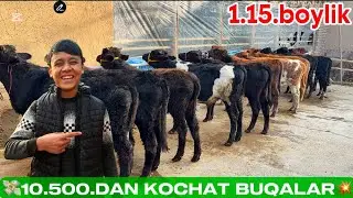 👁️BUV AZAMJON NEGA BUNAQA QLIP TASHLADI😳NARHLAR SUV TEKIN BOLIP KERI 2025_12_24_dekabir.