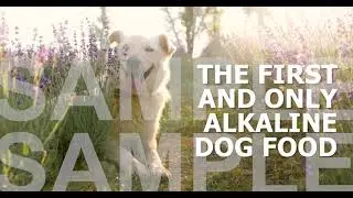 AHVMA Video Ad Sample Video 1 - With Voiceover