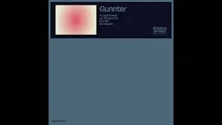 Gunnter - 6 PM [Dreams On Wax]
