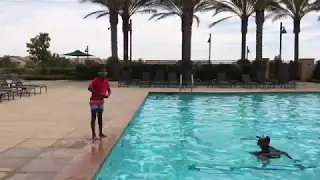 My Swim Buddy student demonstrates Jump n Float to Wall - Water safety tip