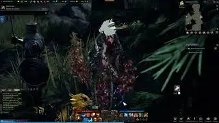 ALL MOKOKO SEED Locations in BATTLEBOUND PLAINS Map in WEST LUTERRA Continent in LOST ARK