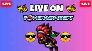 [PXG] DIA 11 Johto - Live rapida para dailys🌈Servidor Rainbow 8🔥!curse