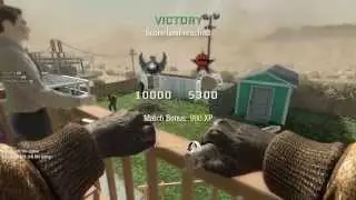 Call of Duty Black Ops Stunts