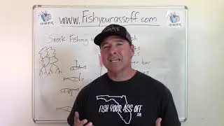Snook Fishing with Lady Fish