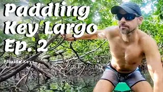 Paddle Boarding Key Largo | Florida Keys | 12