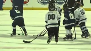 Ice Sports Forum Mini Mites at Tampa Bay Lightning 10-31-2015