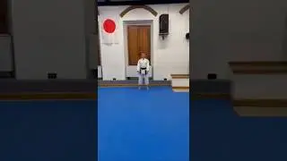 Programma di esame (KIHON) 7 KYU cintura gialla/arancio (gialla2)