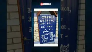 🤣🤣 #funny #humor #jokes #prank #comedy #memes #shorts #laugh #germany #україна