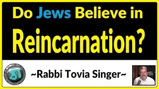 1230 - Do Jews Believe in Reincarnation?  Rabbi Tovia Singer