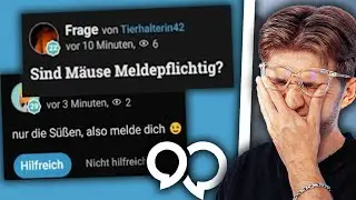 Wenn Deutsche gute Fragen stellen...