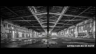 Little Sam   -     First time i heard the Blues