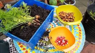 None Industrial Home based Food processing plant